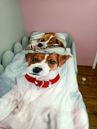 Photo from customer review